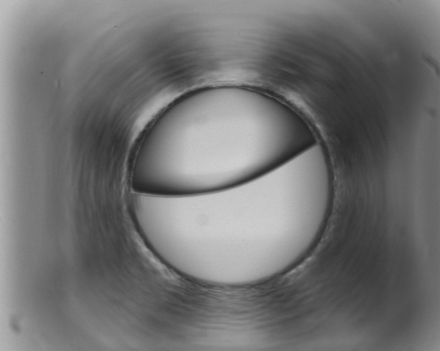 X0000099541469200805160737