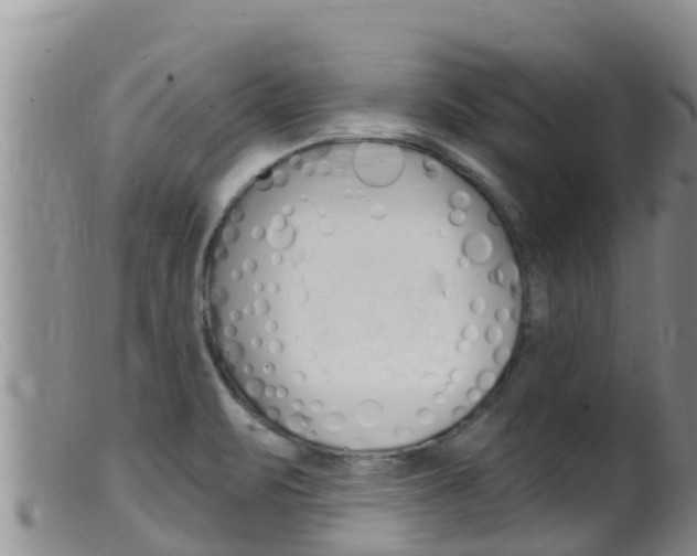 X0000099541471200805160737