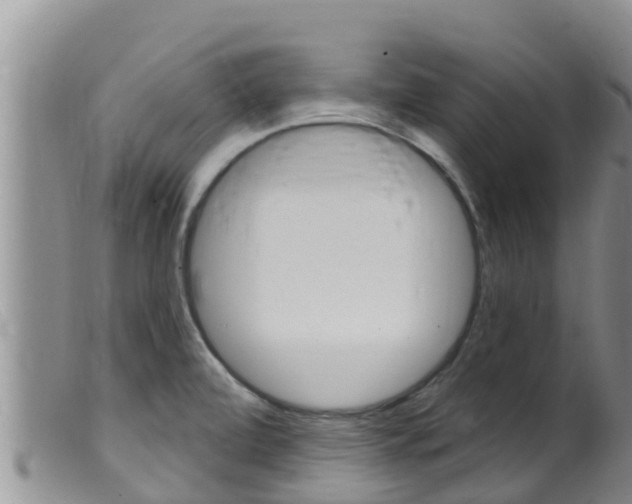 X0000099541472200805160737