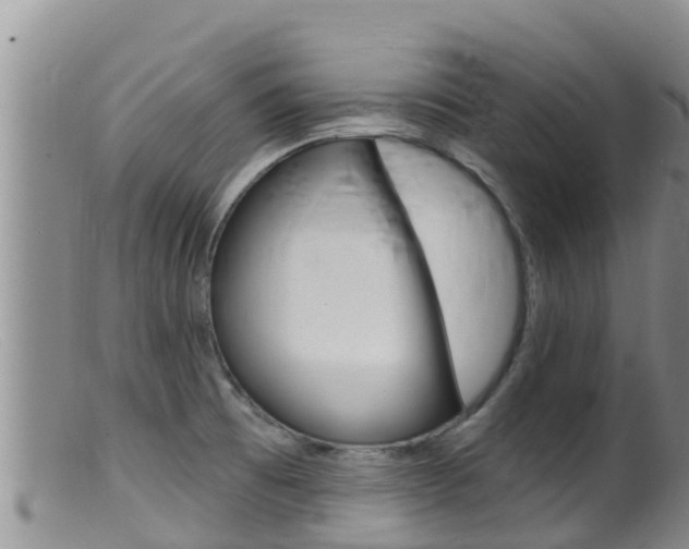 X0000099541473200805160737