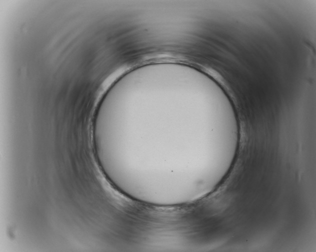 X0000099541474200805160737