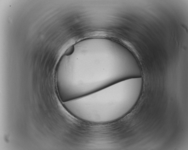 X0000099541475200805160737