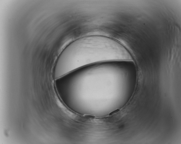 X0000099541476200805160737