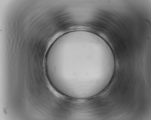 X0000099541482200805160737