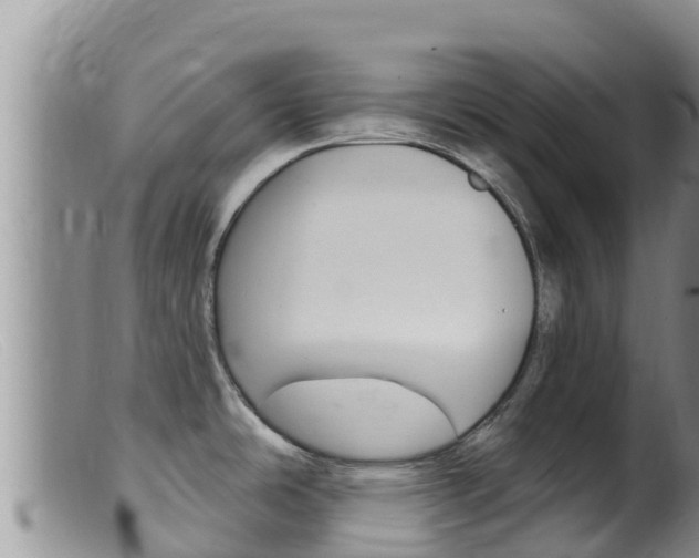 X0000099541486200805160737