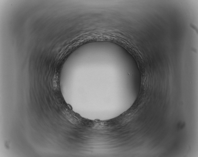 X0000099541490200805160736