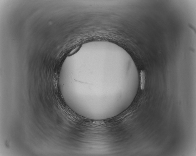 X0000099541491200805160736