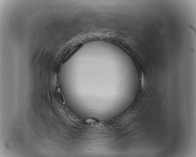 X0000099541492200805160736