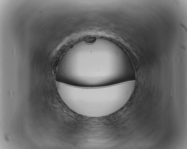 X0000099541495200805160736