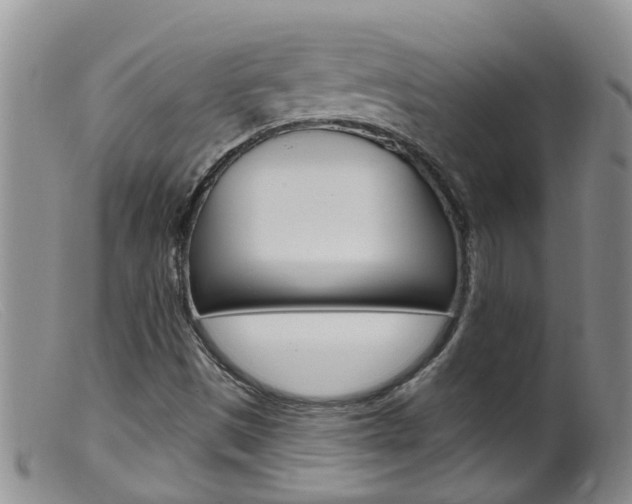 X0000099541497200805160736