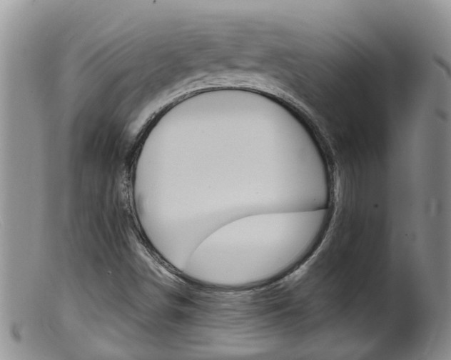 X0000099541498200805160736