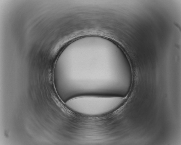 X0000099541499200805160736