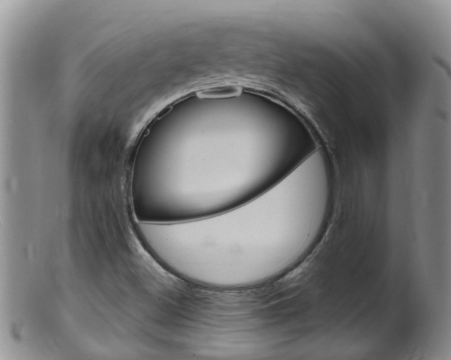 X0000099541500200805160736