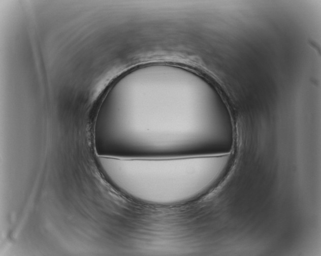 X0000099541501200805160736