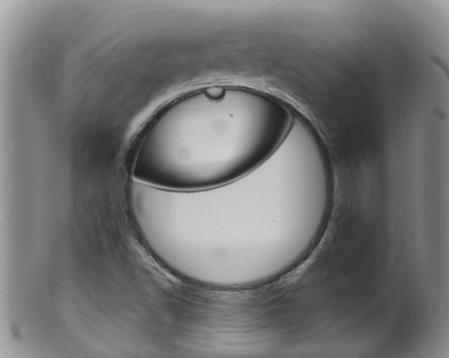 X0000099541502200805160736