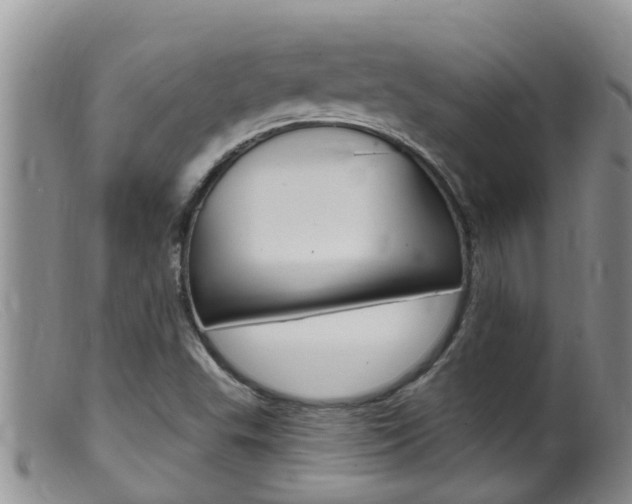 X0000099541503200805160736