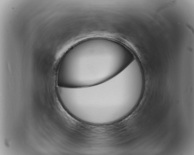 X0000099541504200805160736
