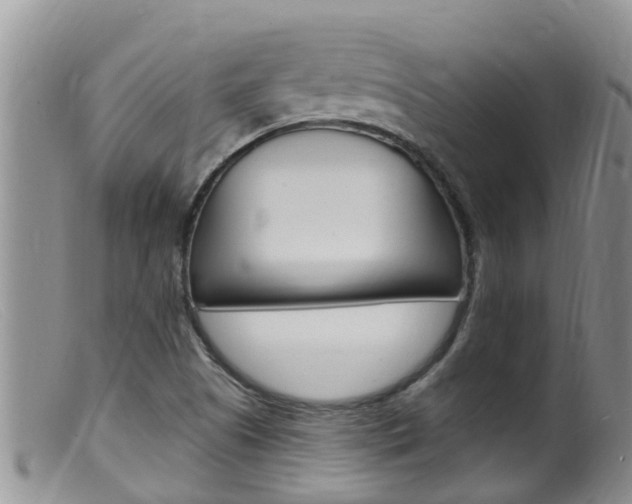 X0000099541505200805160736