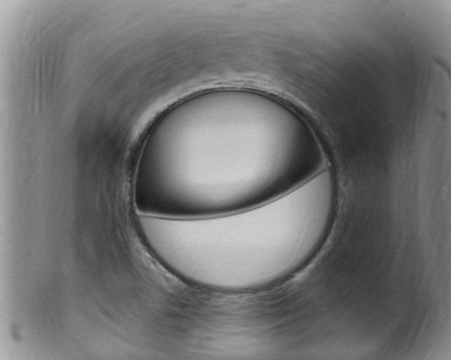 X0000099541506200805160736