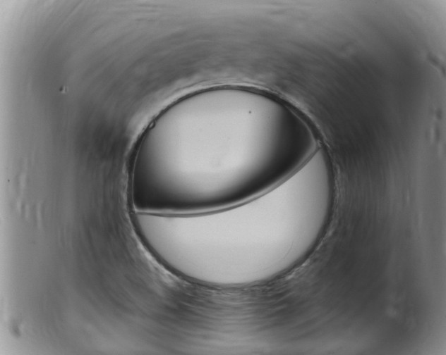 X0000099541508200805160736