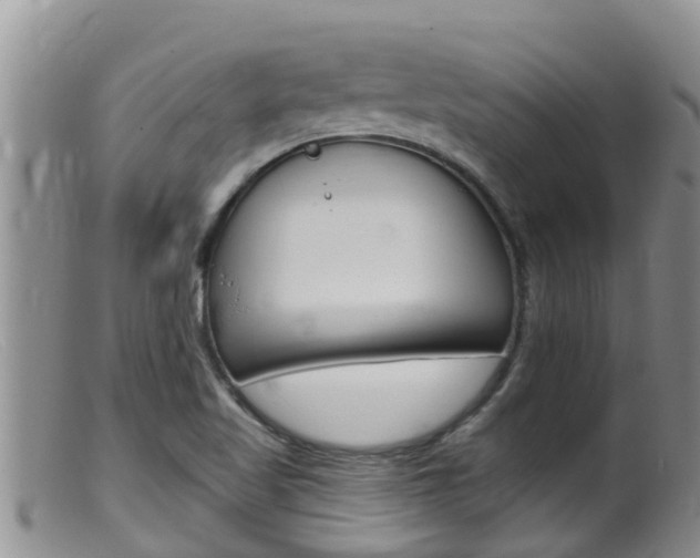 X0000099541509200805160736