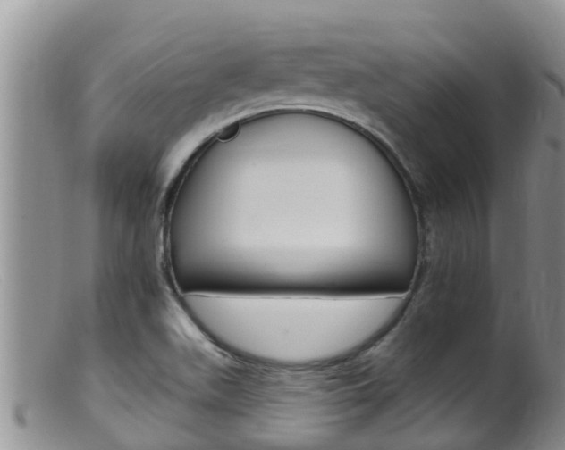 X0000099541511200805160736