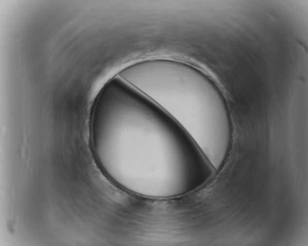 X0000099541512200805160736