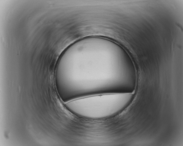 X0000099541513200805160736