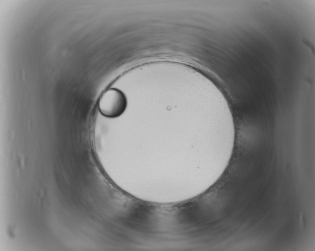 X0000099541514200805160736