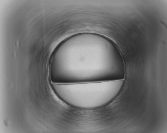 X0000099541515200805160736
