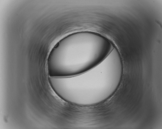 X0000099541516200805160737