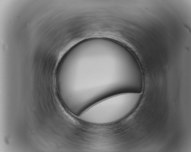 X0000099541517200805160737