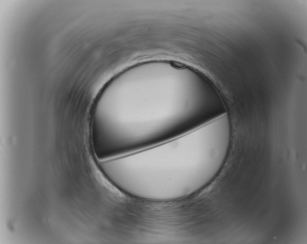 X0000099541518200805160737