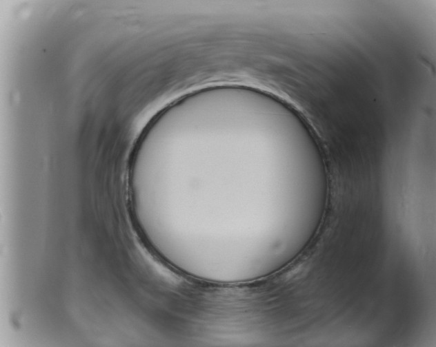 X0000099541519200805160737
