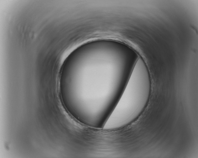 X0000099541520200805160737