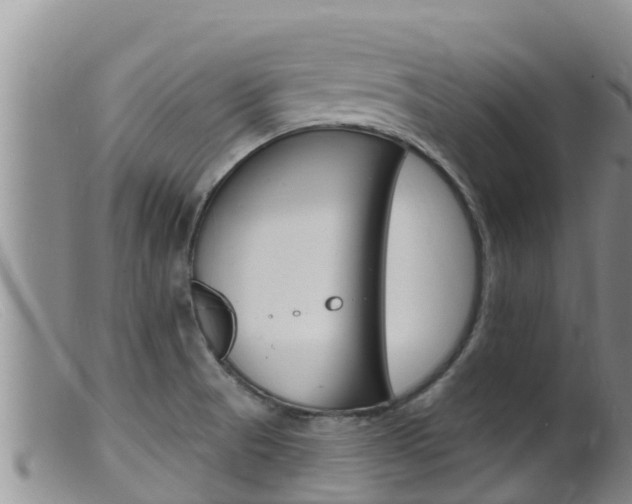 X0000099541521200805160737