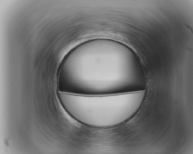 X0000099541523200805160737