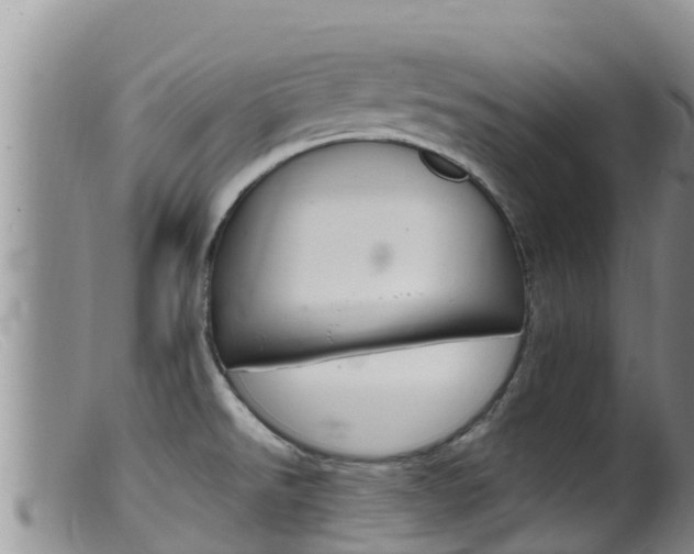 X0000099541526200805160737