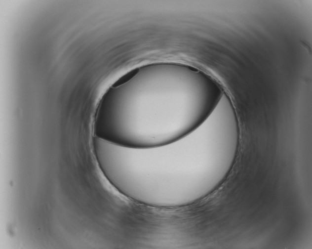 X0000099541528200805160737