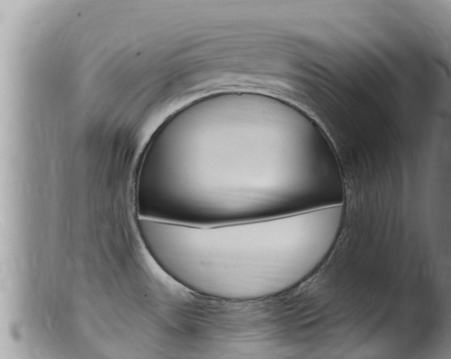 X0000099541531200805160737
