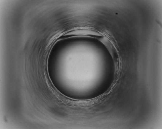 X0000099540001200805161439