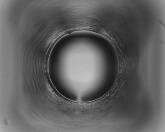 X0000099540002200805161439