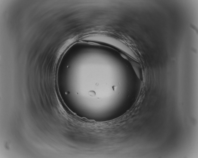 X0000099540003200805161439