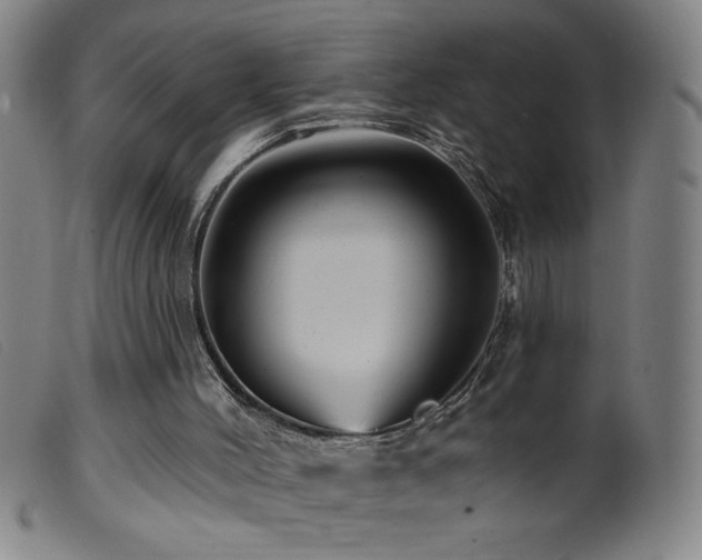 X0000099540004200805161439