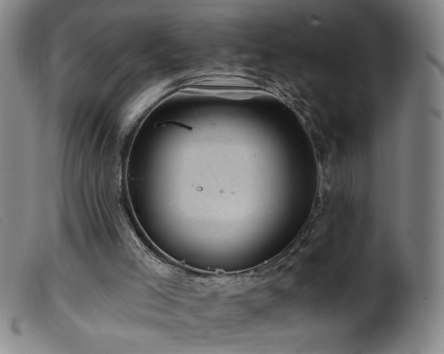 X0000099540005200805161439