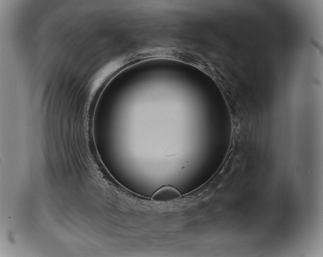 X0000099540006200805161439