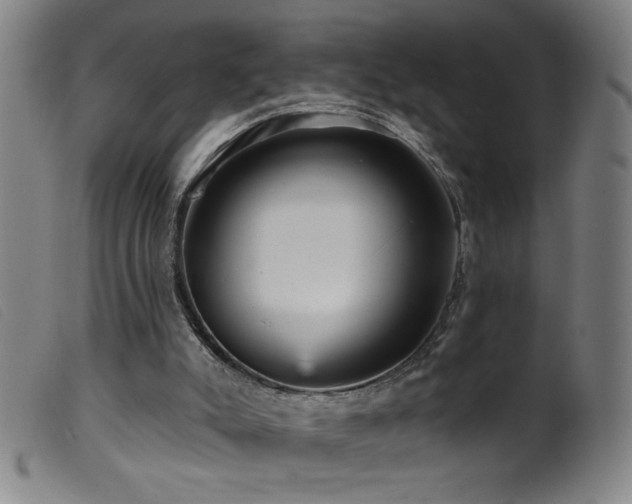 X0000099540007200805161439