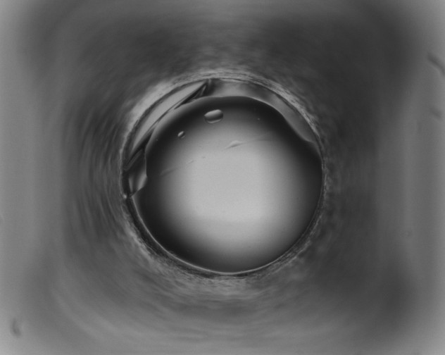 X0000099540008200805161439