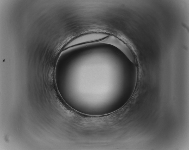 X0000099540009200805161439