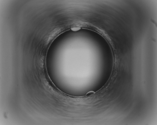 X0000099540010200805161439